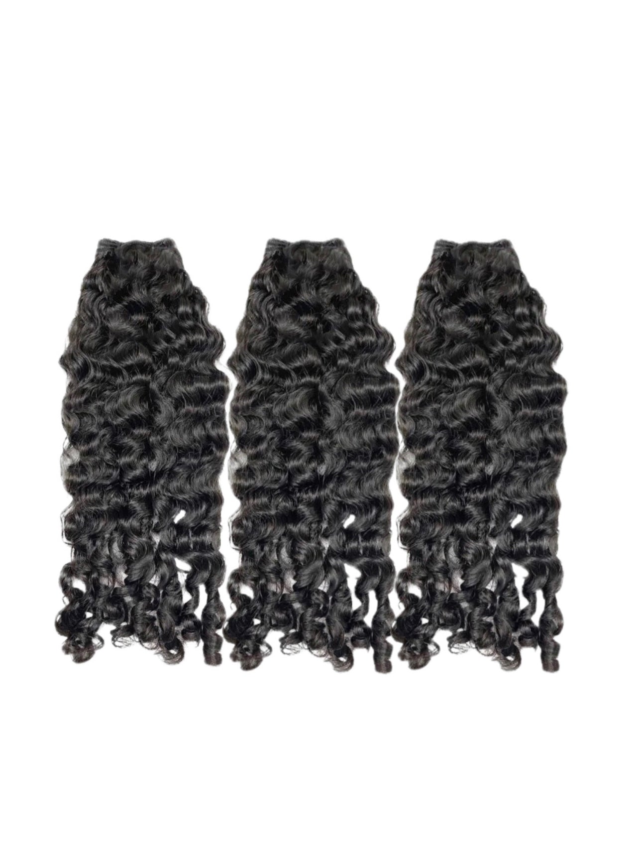 Burmese Curly Bundle Deal